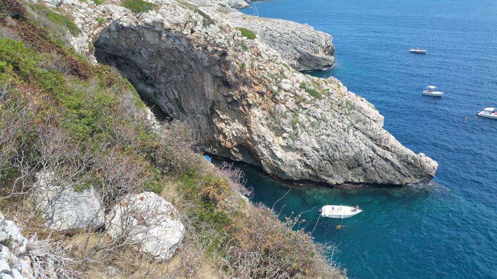 Villa Bocca Del Pozzo 加利亚诺德尔卡波 外观 照片