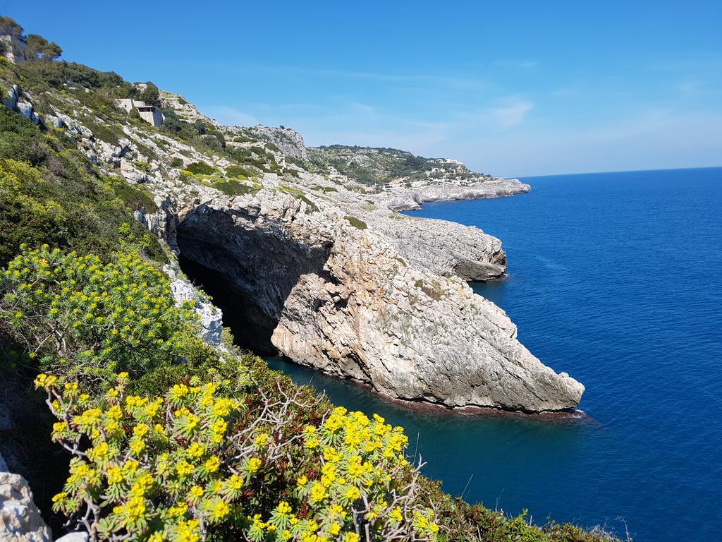 Villa Bocca Del Pozzo 加利亚诺德尔卡波 外观 照片