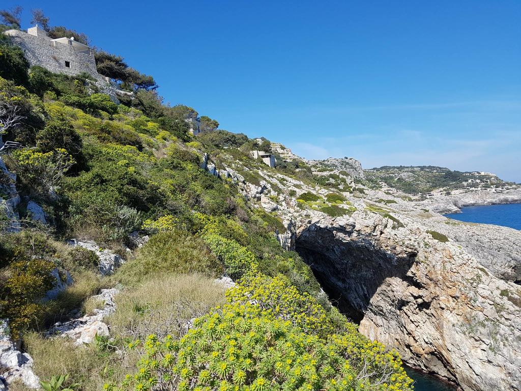 Villa Bocca Del Pozzo 加利亚诺德尔卡波 外观 照片